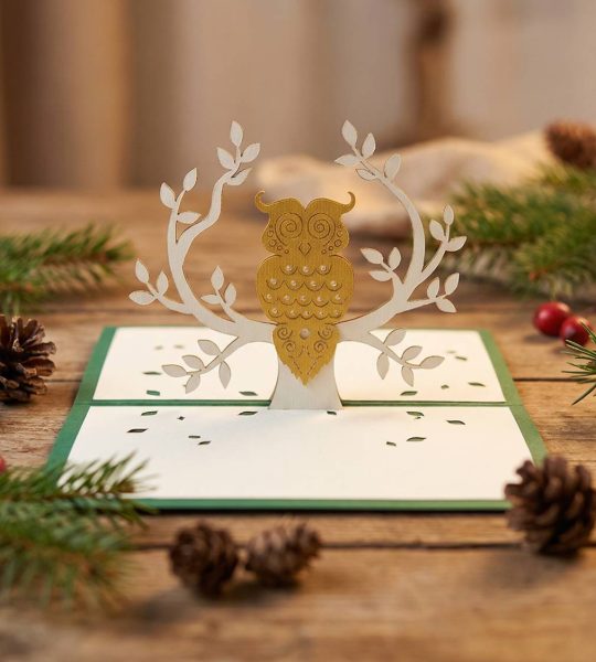 Чоловіча вітальна 3d листівка на день народження сова