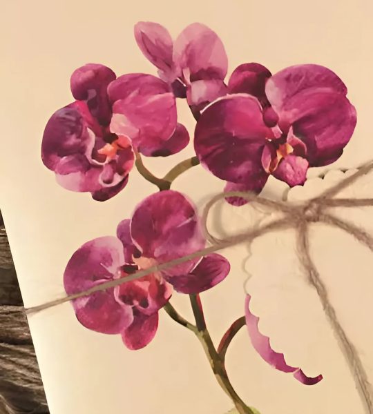 Жіноча вітальна святкова листівка конверт квіти орхідеї