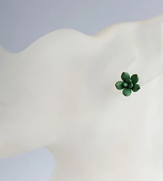 Жіночі сережки гвоздики маленькі сукуленти квіти глина