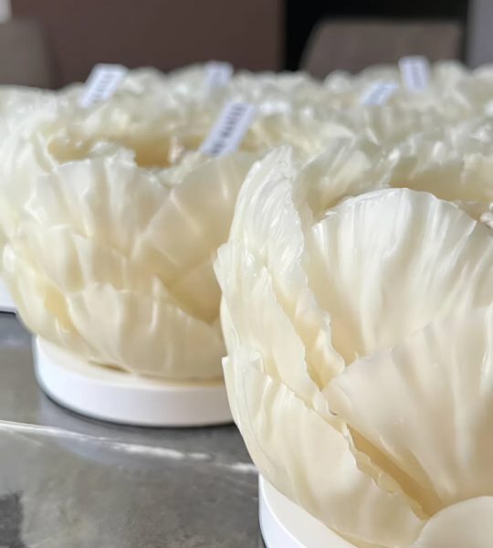 Свічка квітка біла троянда на підставці бджолиний віск