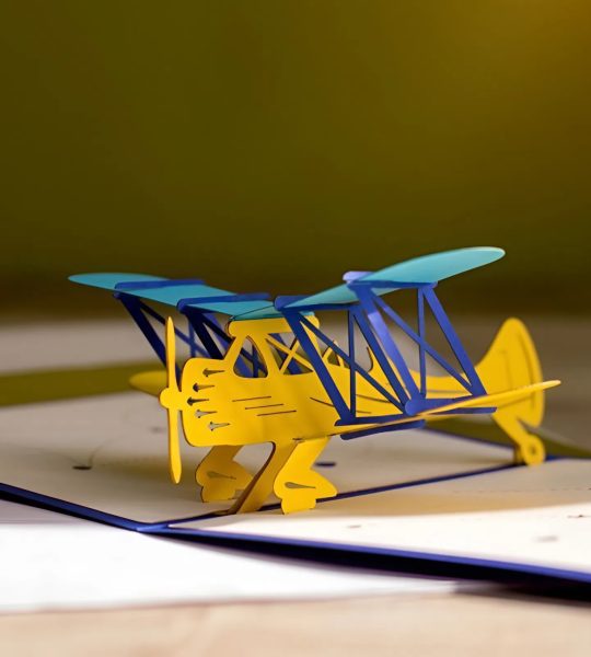 Об’ємна чоловіча листівка ручної роботи 3d літак Ukraine