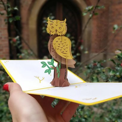 Об’ємна листівка ручної роботи сова на день народження