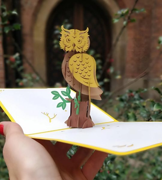 Об’ємна листівка ручної роботи сова на день народження