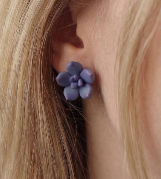 Cережки гвоздики сукуленти квіти полімерна глина (на вибір!)