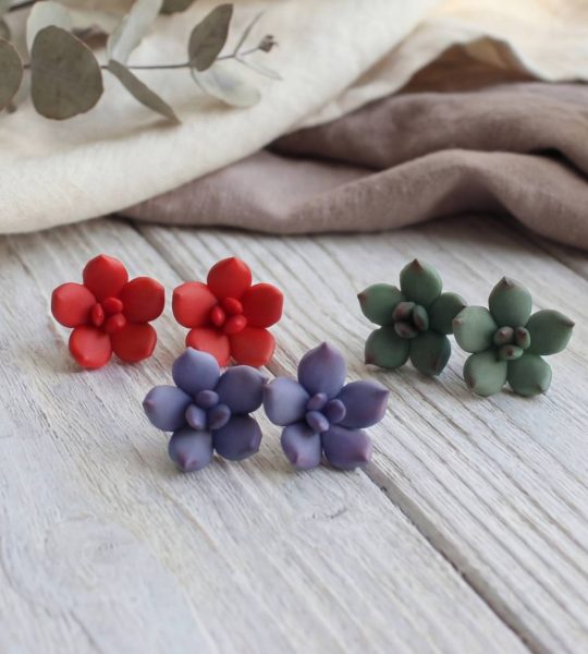 Жіночі сережки гвоздики маленькі сукуленти квіти глина