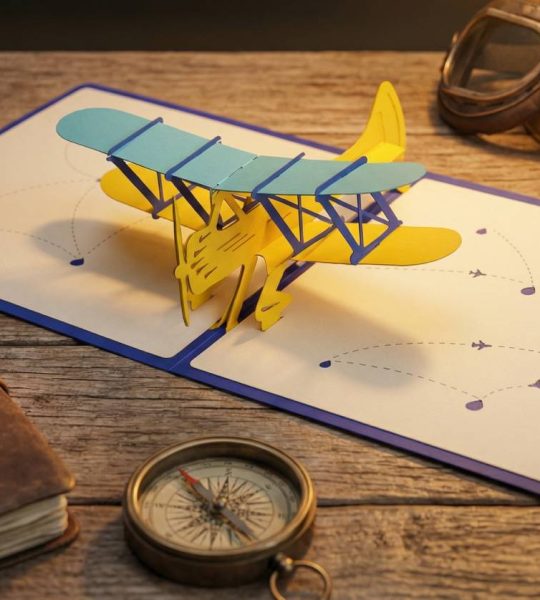 Об'ємна чоловіча листівка ручної роботи 3d літак Ukraine