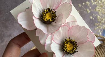 Загадкові квіти білі космеї: дитячі зажими для волосся - заворожуючий аксесуар для маленьких принцес