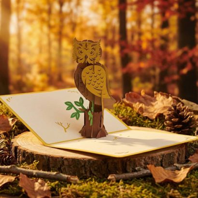Об’ємна листівка ручної роботи сова на день народження