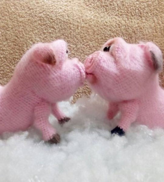 Вязанные игрушки крючком свиньи пара