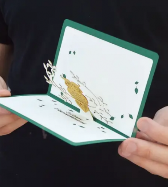 3d открытка на день рождение сова