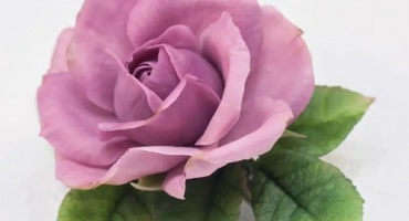 Ніжність та витонченість весняного образу: зажим для волосся з великою квіткою троянди з холодного фарфору