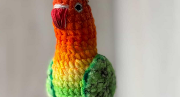 Авторська іграшка різнокольоровий папужка-нерозлучник, в’язаний з любов’ю для теплих дитячих обіймів Авторська іграшка різнокольоровий папужка-нерозлучник, в’язаний з любов’ю для теплих дитячих обіймів