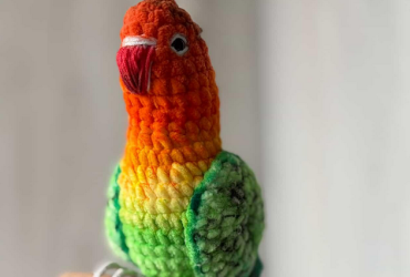 Авторська іграшка різнокольоровий папужка-нерозлучник, в’язаний з любов’ю для теплих дитячих обіймів