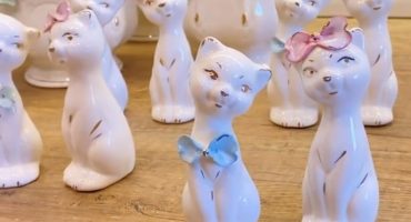 Святковий символ: білі котики подарункової пари - витонченість, розкіш, та щедрість Різдва 2024