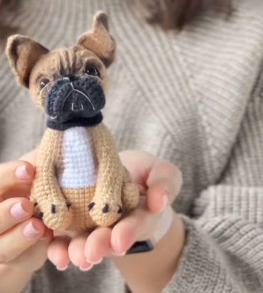 Авторська іграшка в'язаний пес французький бульдог