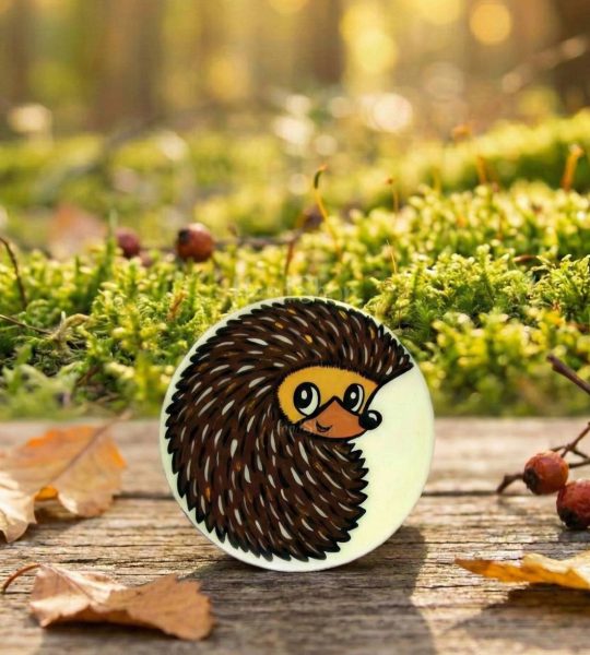 Дерев'яна сувенірна дитяча кругла брошка їжачок розпис