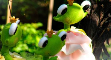 Купить игрушку лягушку и подарить — преподнести символ удачи к деньгам, благополучию и плодородию